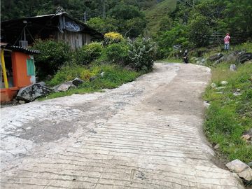 VENTA FINCA  VEREDA LA TEBAIDA SAN LUIS ANTIOQUIA