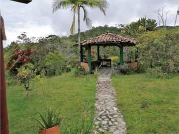 VENTA FINCA  VEREDA LA TEBAIDA SAN LUIS ANTIOQUIA