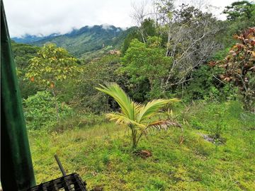VENTA FINCA  VEREDA LA TEBAIDA SAN LUIS ANTIOQUIA