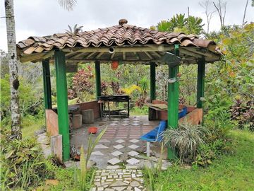 VENTA FINCA  VEREDA LA TEBAIDA SAN LUIS ANTIOQUIA