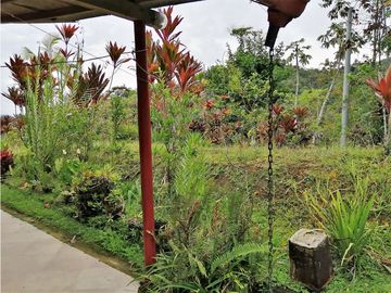 VENTA FINCA  VEREDA LA TEBAIDA SAN LUIS ANTIOQUIA