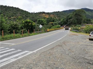 VENTA FINCA  VEREDA LA TEBAIDA SAN LUIS ANTIOQUIA