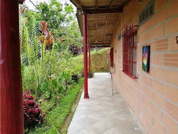VENTA FINCA  VEREDA LA TEBAIDA SAN LUIS ANTIOQUIA