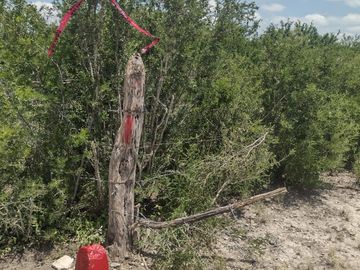 Terreno en venta de 50,846 m2  (226.16.ml x225..88.ml) en Pesquería N.L Muy cerca de la planta KIA fabricante de automóviles primera en Latinoamérica