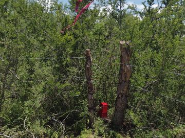 Terreno en venta de 50,846 m2  (226.16.ml x225..88.ml) en Pesquería N.L Muy cerca de la planta KIA fabricante de automóviles primera en Latinoamérica