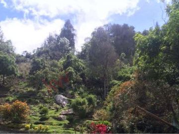Venta casa campestre vereda Chuntame, Cajicá Cundinamarca