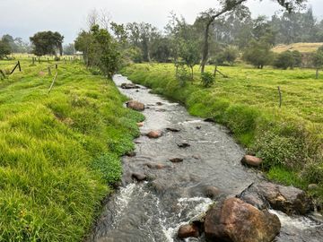 Venta De Finca Ubicada En Cogua, Neusa Cundinamarca.