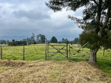 Venta De Finca Ubicada En Cogua, Neusa Cundinamarca.