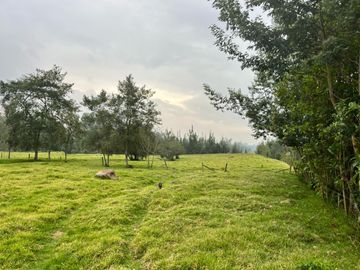 Venta De Finca Ubicada En Cogua, Neusa Cundinamarca.