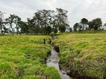 Venta De Finca Ubicada En Cogua, Neusa Cundinamarca.