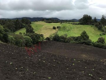 Venta Finca en la vereda el Neusa en Cogua Cundinamarca