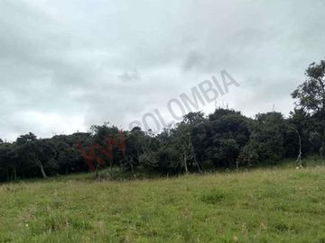 Venta Finca en la vereda el Neusa en Cogua Cundinamarca