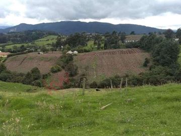 Venta Finca en la vereda el Neusa en Cogua Cundinamarca