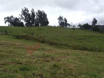 Venta Finca en la vereda el Neusa en Cogua Cundinamarca