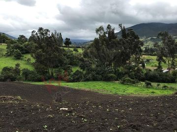 Venta Finca en la vereda el Neusa en Cogua Cundinamarca