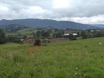 Venta Finca en la vereda el Neusa en Cogua Cundinamarca