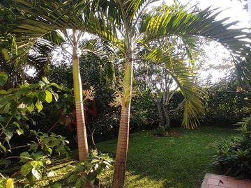 En Venta Casa los Almendros, Pance, Cali