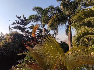 En Venta Casa los Almendros, Pance, Cali