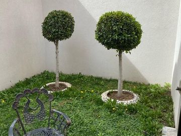 Casa en venta, Pachuca, Marsalla, Viñedos Residencial