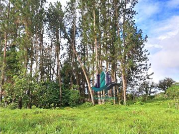 VENDO FINCA DE 6.5 HA CON ALTITUD DE 995M.S.N.M.