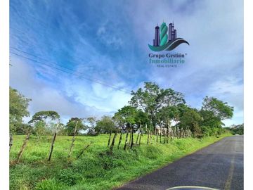 VENDO FINCA DE 6.5 HA CON ALTITUD DE 995M.S.N.M.