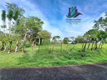 VENDO FINCA DE 6.5 HA CON ALTITUD DE 995M.S.N.M.