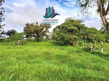 VENDO FINCA DE 6.5 HA CON ALTITUD DE 995M.S.N.M.