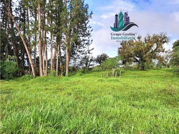 VENDO FINCA DE 6.5 HA CON ALTITUD DE 995M.S.N.M.