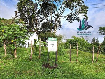 VENDO FINCA DE 6.5 HA CON ALTITUD DE 995M.S.N.M.
