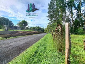 VENDO FINCA DE 6.5 HA CON ALTITUD DE 995M.S.N.M.