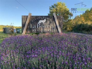 Parcela en Venta en La Reserva de Frutillar