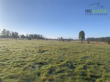 Parcela en Venta en La Reserva de Frutillar