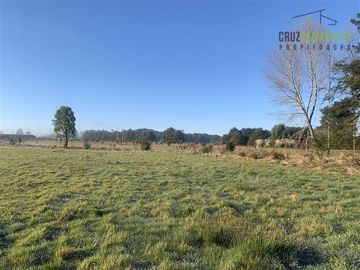 Parcela en Venta en La Reserva de Frutillar