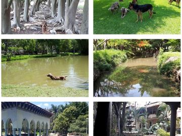 Venta de Rancho Los Corceles: Un Oasis de Lujo y Naturaleza en Chiconc