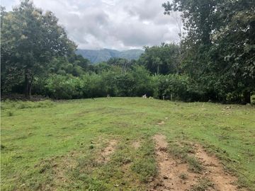 VENDO FINCA EN CARMEN DE APICALA