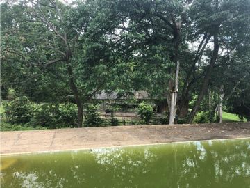 VENDO FINCA EN CARMEN DE APICALA