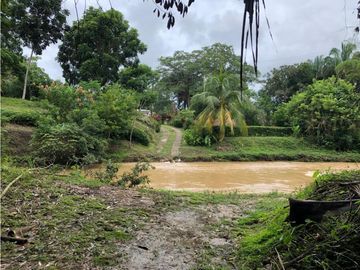 VENDO FINCA EN CARMEN DE APICALA