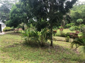 VENDO FINCA EN CARMEN DE APICALA