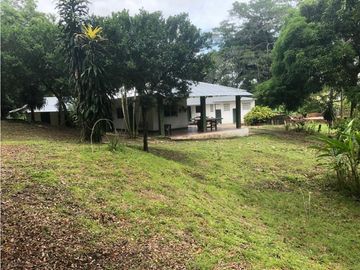 VENDO FINCA EN CARMEN DE APICALA