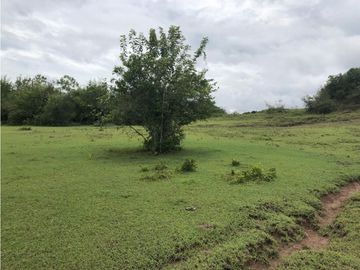 VENDO FINCA EN CARMEN DE APICALA