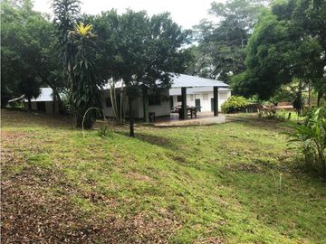 VENDO FINCA EN CARMEN DE APICALA