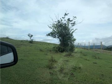 VENDO FINCA EN CARMEN DE APICALA