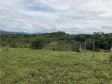 VENDO FINCA EN CARMEN DE APICALA