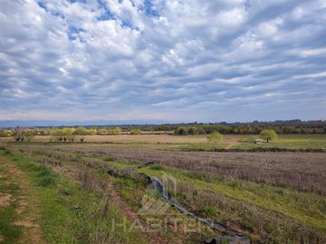 Parcela en Venta en Pelarco