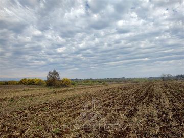 Parcela en Venta en Pelarco