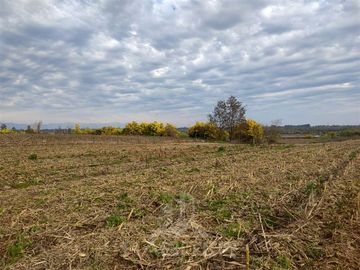 Parcela en Venta en Pelarco