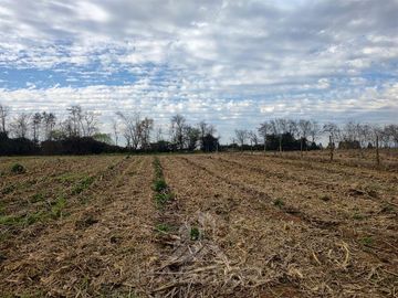 Parcela en Venta en Pelarco