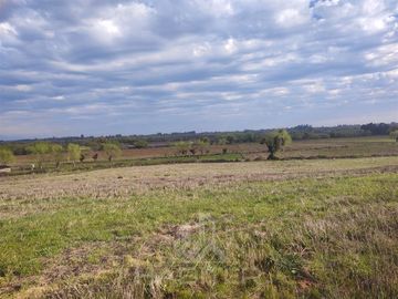 Parcela en Venta en Pelarco