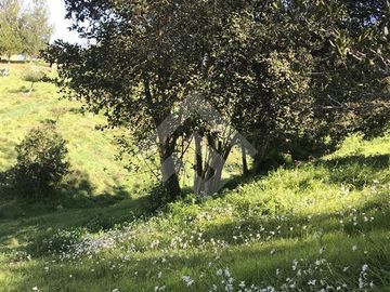 Parcela en Venta en RUTA-G 94