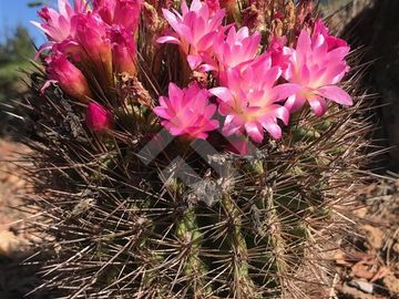 Parcela en Venta en RUTA-G 94